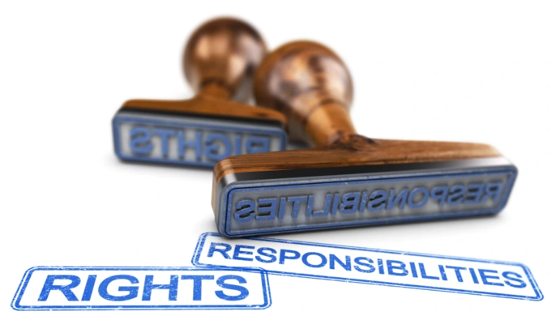 Giới thiệu vai trò của quyền và nghĩa vụ người chơi