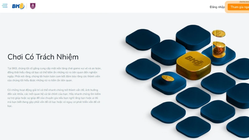 Hiểu Đúng Về Các Quyền Và Nghĩa Vụ Người Chơi Tại BK8